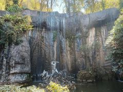 -西双版纳原始森林公园