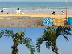-日照海滨国家森林公园