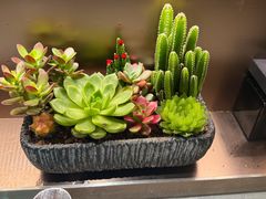 -海底捞火锅(天通苑华联店)