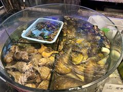 -珍宝轩海鲜火锅(碧湖大厦店)