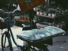 -桂林市花鸟市场