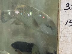 -海盗餐厅