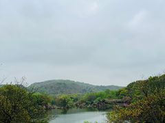 -白马涧龙池景区