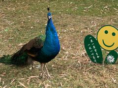 -昆明动物园