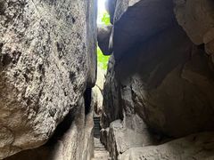 -鲁山国家森林公园