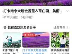 -大塘金香草谷