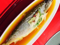鲥鱼-黛瓦里巷(南京东路店)