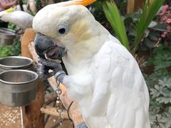 -南宫五洲植物乐园