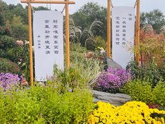 -北京十三陵国家森林公园蟒山景区