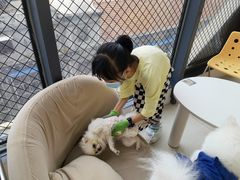 -怪兽屋·羊驼·猫咖·狗咖(俊华广场店)