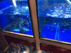 -老阿爸鲜鱼土菜(昆山花桥店)