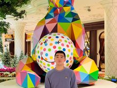 -拉斯维加斯永利酒店