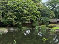 -东京国立博物馆
