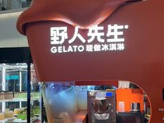 -野人先生现做冰淇淋(北京王府井东方新天地店)