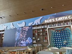 -抱抱地球咖啡馆(国家海洋博物馆店)