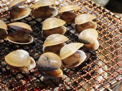 烤贝-范儿·嫂子烤肉·精致炭火烤肉(长治路店)