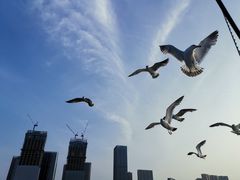 -东港音乐喷泉广场