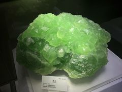 -湖南省地质博物馆