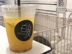 -白夜2D咖啡馆