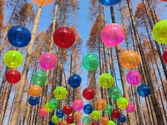 -黄海国家森林公园