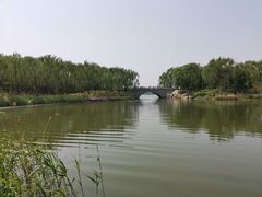 -大兴滨河森林公园