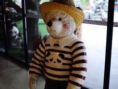 -成都泰迪熊博物馆