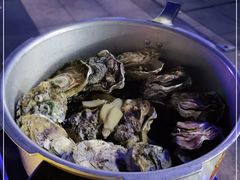 -千岛蚝高压锅生蚝·人参火锅(白云万达店)