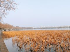 -北山街历史文化街区