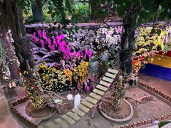 -正佳雨林生态植物园