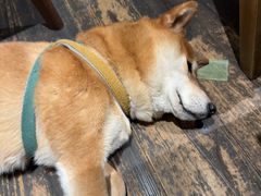 -三目仓咖啡(贤南路店)