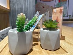 -炖物24章·顺时轻养茶(黄龙店)