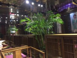 -盘子女人坊生日照·摄影馆(华强店)