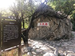 -阳台山自然风景区