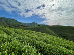 -帐篷客·溪龙茶谷度假酒店