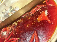 -羊大爷涮肉(亮马桥店)