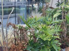 -在咖啡INCOFFEE(ICC升龙环球中心店)