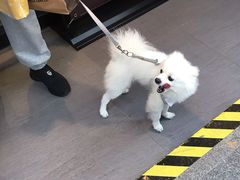 -麦当劳(静安寺店)