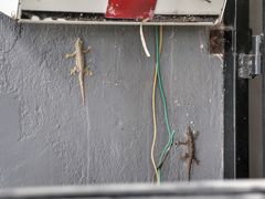 -普吉镇