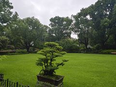 -申粤轩酒楼·三十年粤菜经典(丁香花园店)