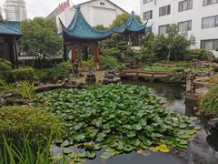 -華僑飯店中餐厅