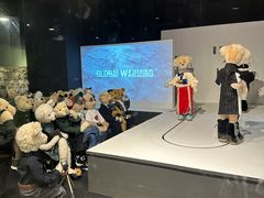 -济州岛泰迪熊博物馆