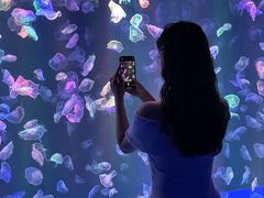 -海合安成都极地海洋公园