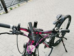 -道路口单车爱瓦士dahon大行