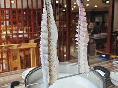 -渔意坊·千层无骨鱼粥底火锅·20年顺德菜(普君店)
