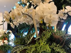 -上海虹桥西郊假日酒店