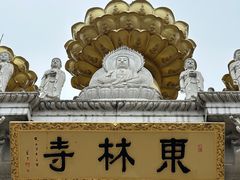 -上海东林寺(金山区)