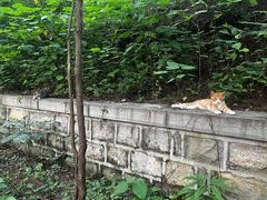 -四门塔风景区