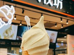 -野人先生现做冰淇淋(西安赛格店)