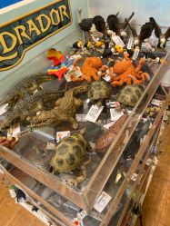 -kidsland(领展购物广场·京通店)