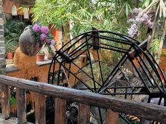 -园林美食城·本土农家菜(杨和镇店)